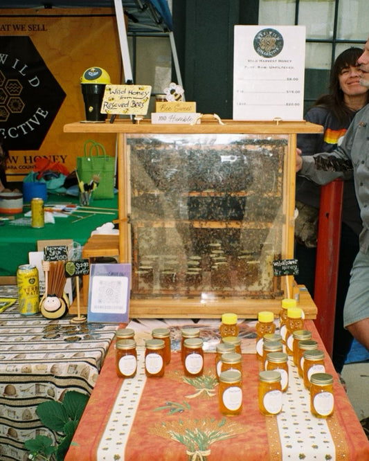 Farmers Markets