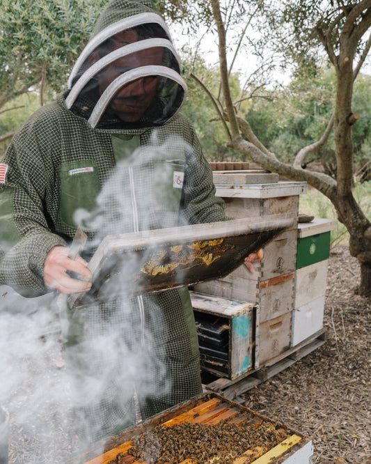 Beekeeping Services